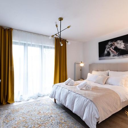 Quibio Apart Terrace Брашов Екстер'єр фото