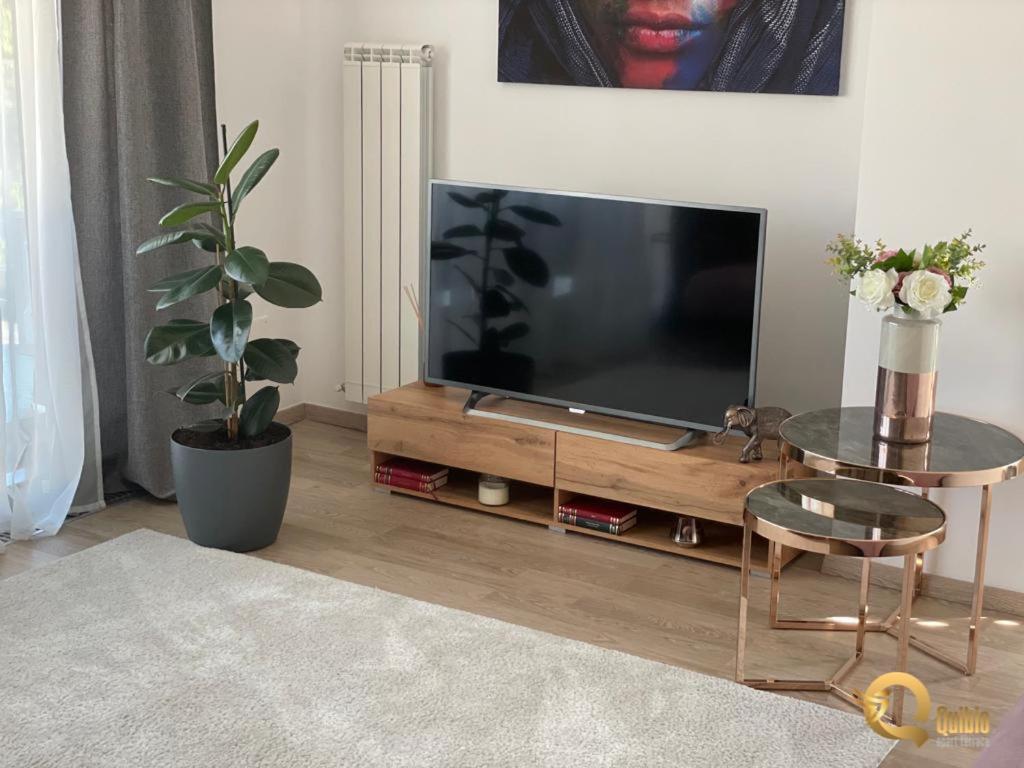 Quibio Apart Terrace Брашов Екстер'єр фото